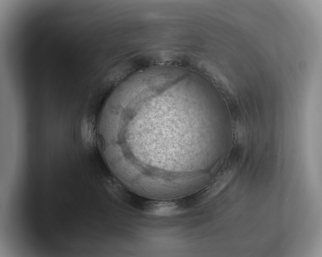 X0000102390719200808081227