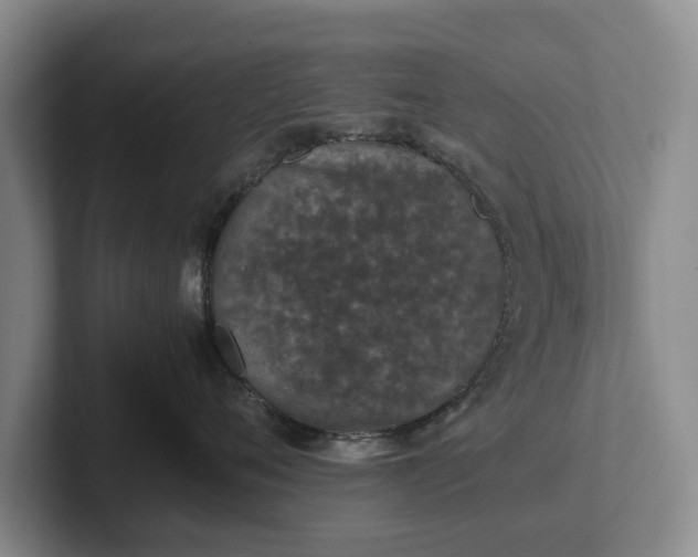 X0000102390720200808081227