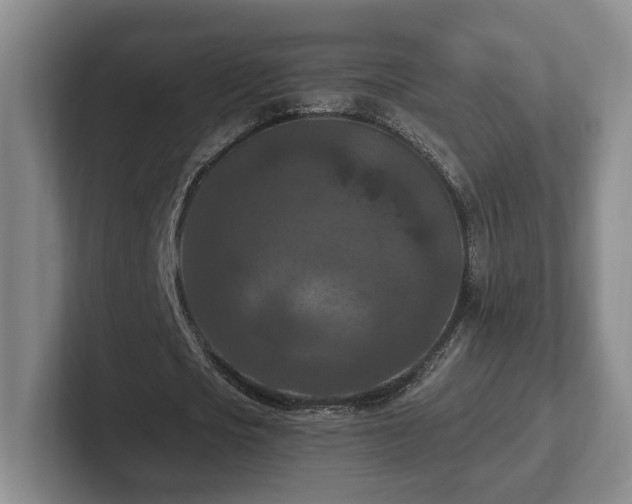 X0000102390721200808081226