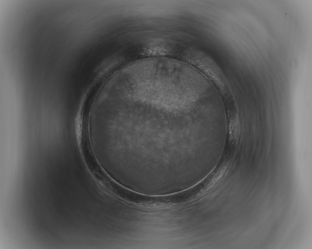 X0000102390722200808081226