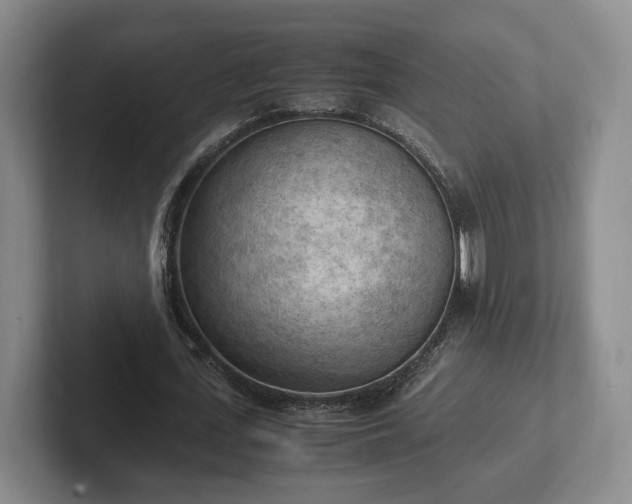 X0000102390723200808081226