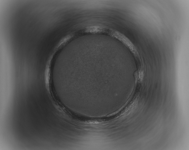 X0000102390724200808081226