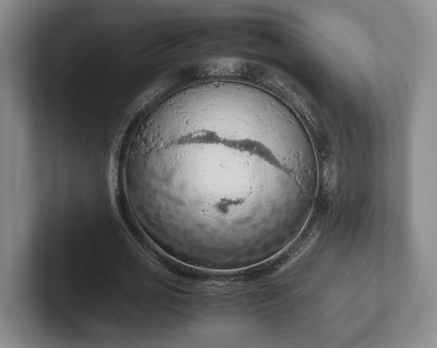 X0000102390725200808081226