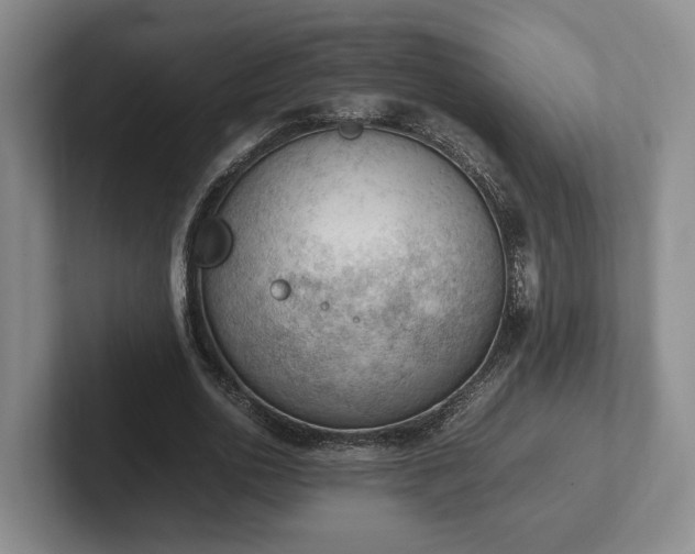 X0000102390726200808081226