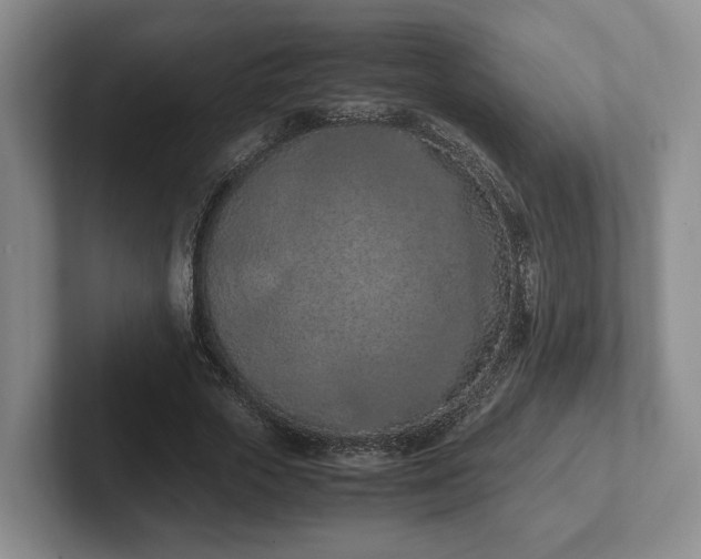 X0000102390729200808081227