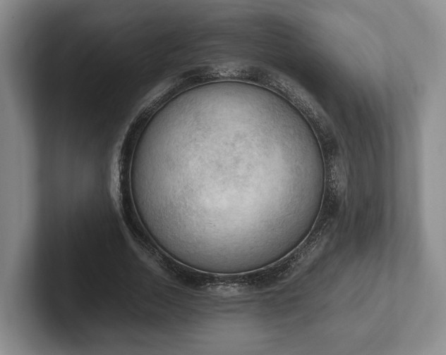 X0000102390730200808081227