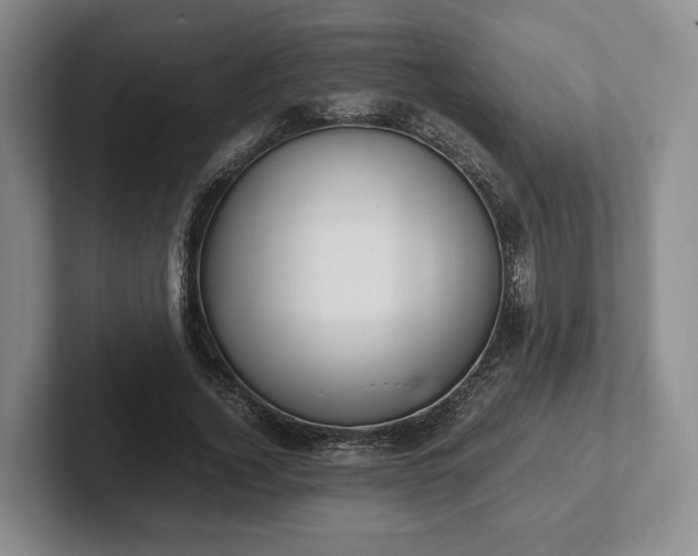 X0000102390732200808081227