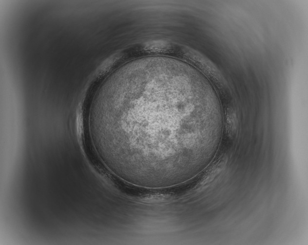 X0000102390734200808081227