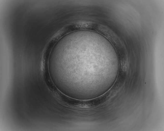 X0000102390735200808081227