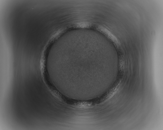 X0000102390736200808081227