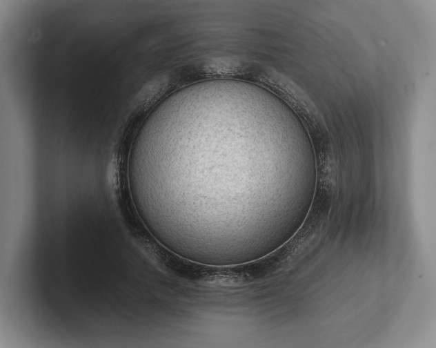 X0000102390738200808081227