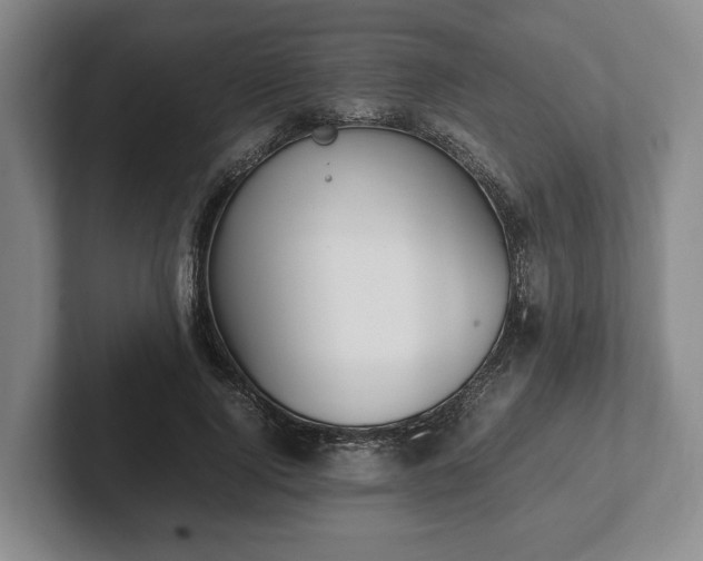 X0000102390740200808081227