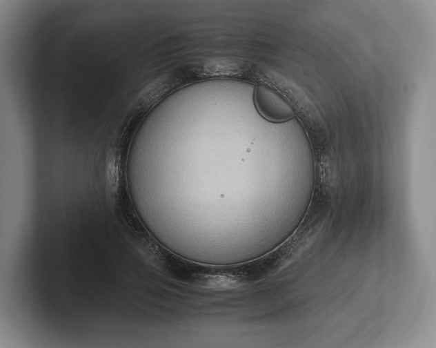 X0000102390741200808081227