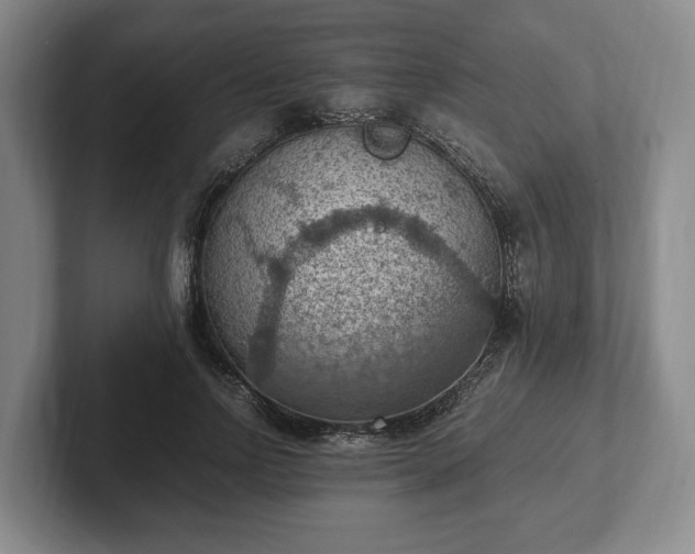 X0000102390742200808081227