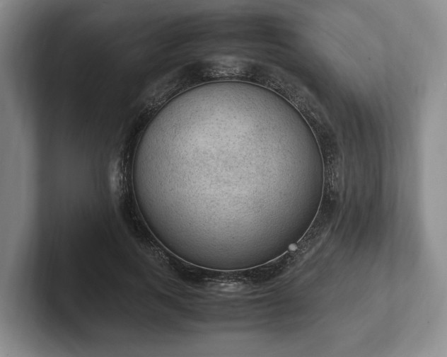 X0000102390743200808081227