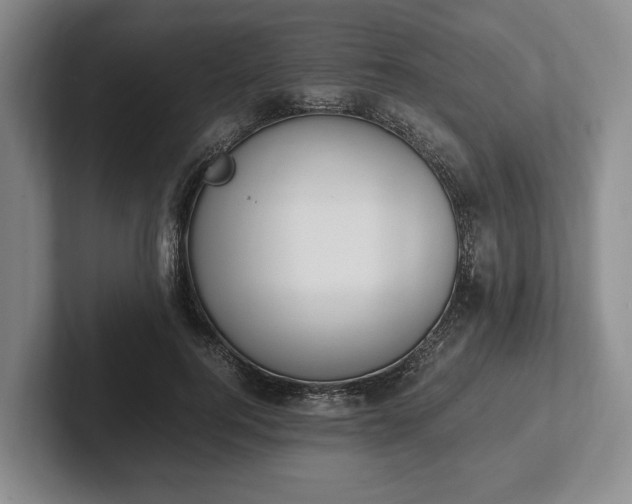 X0000102390744200808081227