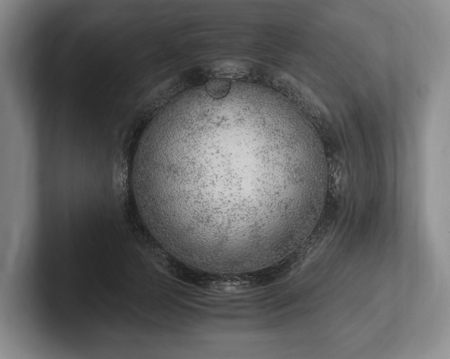 X0000102390745200808081227