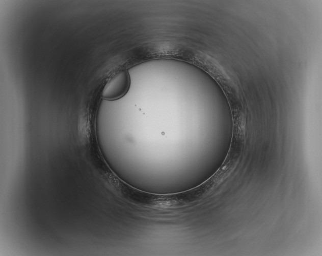 X0000102390746200808081227