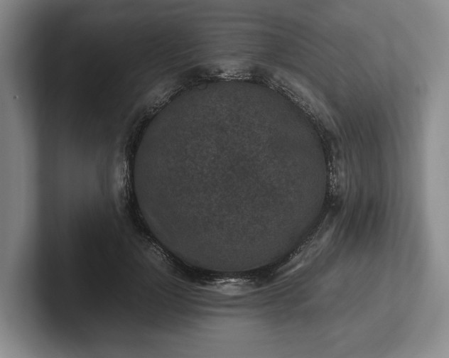 X0000102390748200808081227