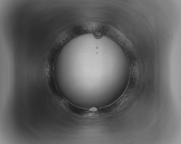 X0000102390750200808081227