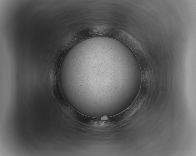 X0000102390751200808081227