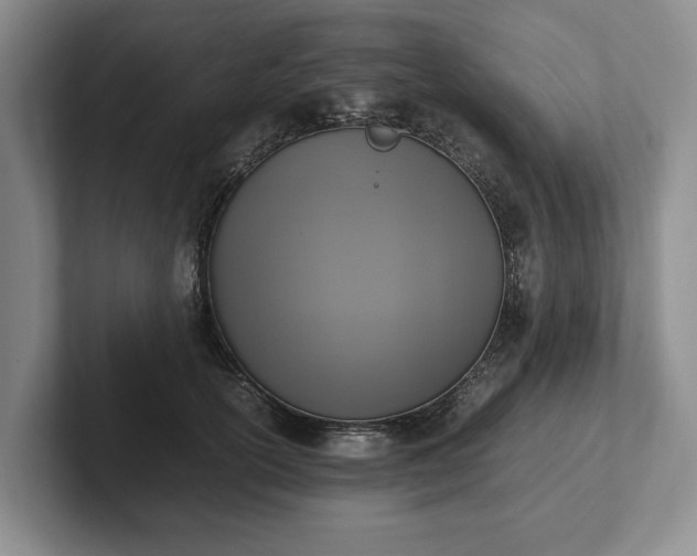 X0000102390754200808081227