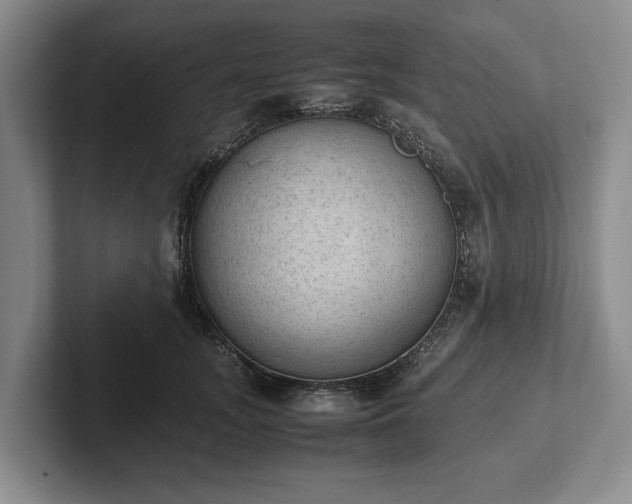 X0000102390755200808081227