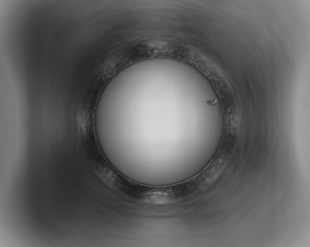 X0000102390756200808081227