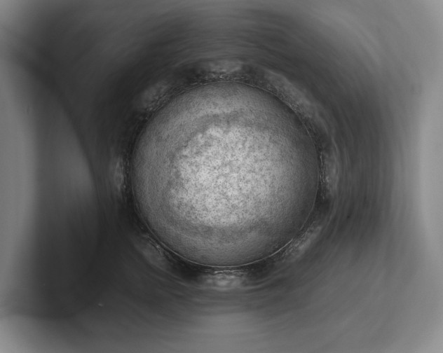 X0000102390758200808081227