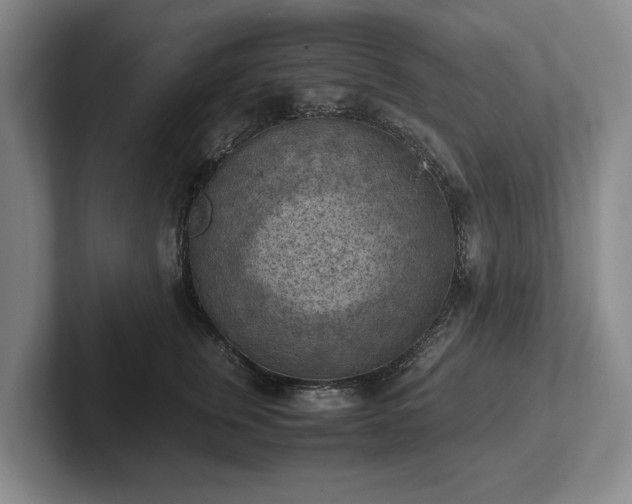 X0000102390759200808081227