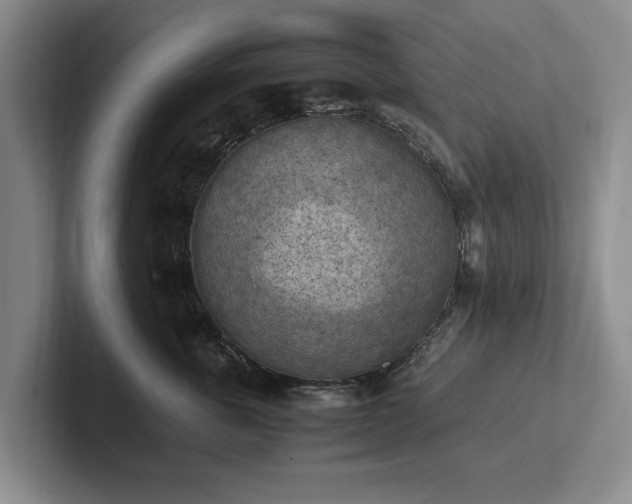 X0000102390763200808081227