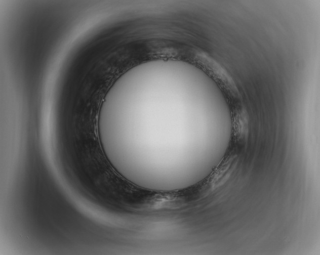 X0000102390764200808081227