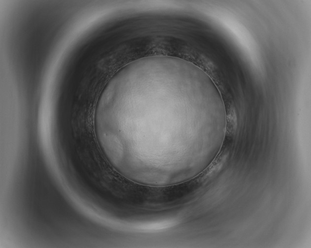 X0000102390765200808081227