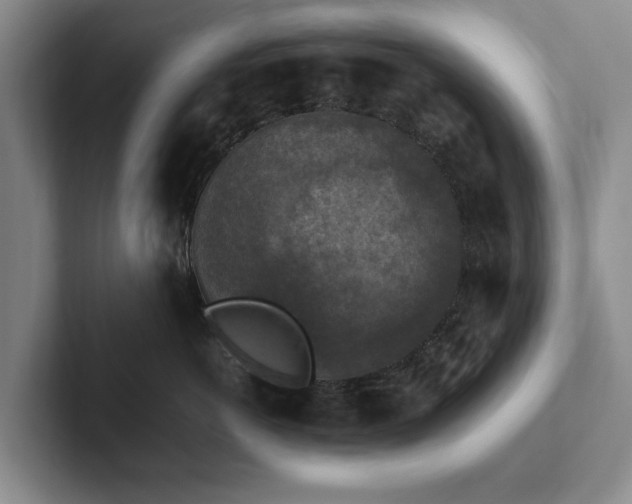 X0000102390766200808081227