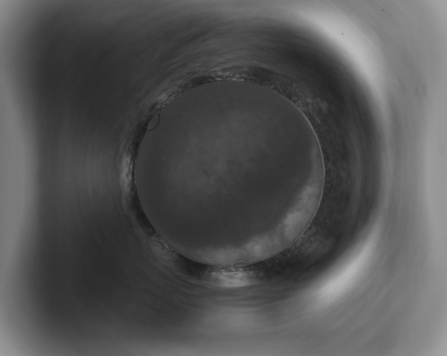 X0000102390767200808081227