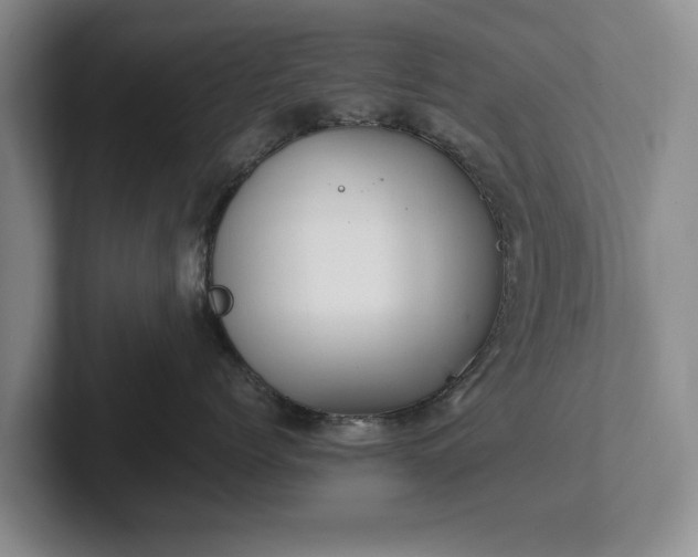 X0000102390768200808081227