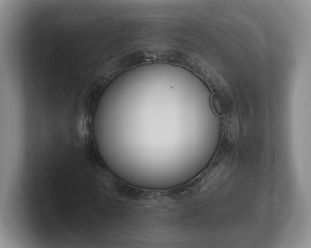 X0000102390770200808081226