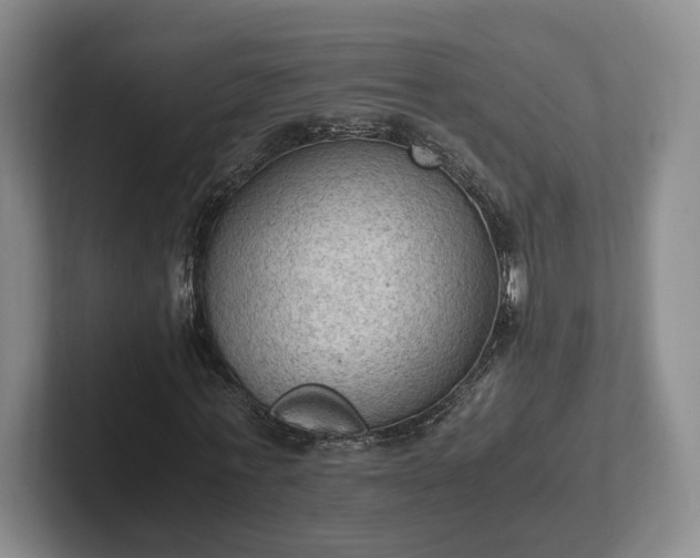 X0000102390771200808081226