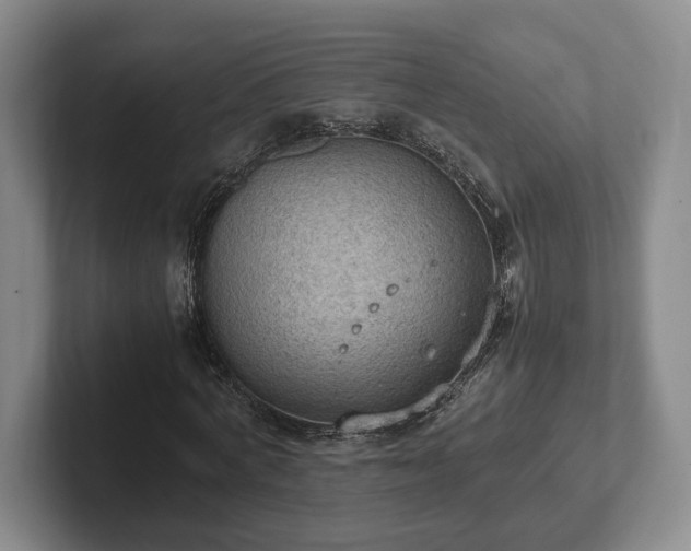 X0000102390772200808081226