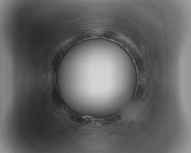 X0000102390773200808081226