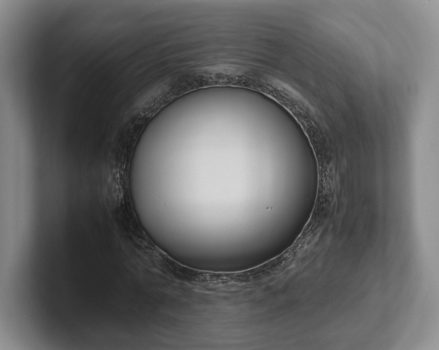 X0000102390774200808081226