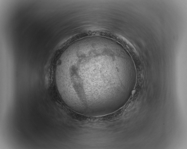 X0000102390775200808081226