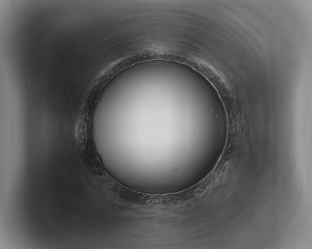 X0000102390776200808081226