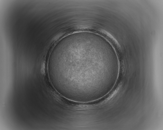 X0000102390777200808081226