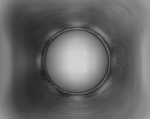 X0000102390778200808081226