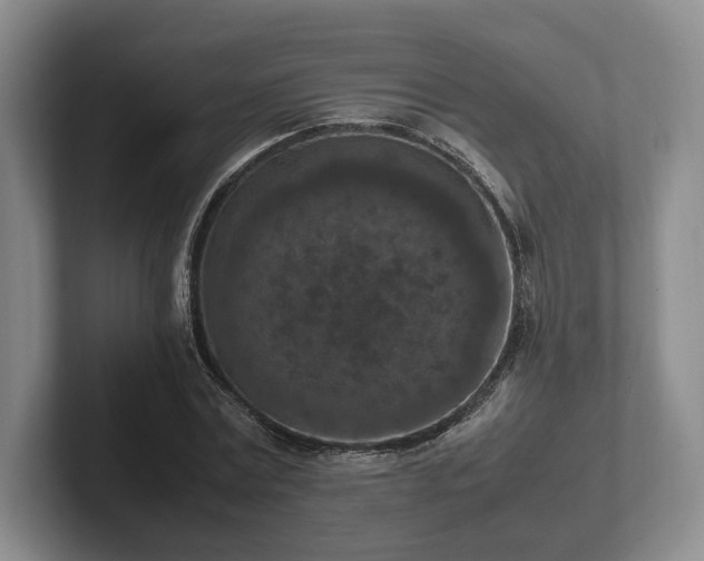 X0000102390779200808081226