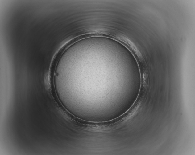 X0000102390780200808081226