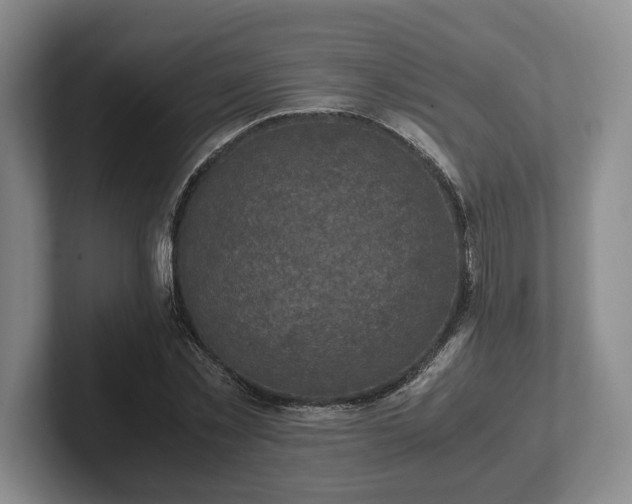 X0000102390781200808081226