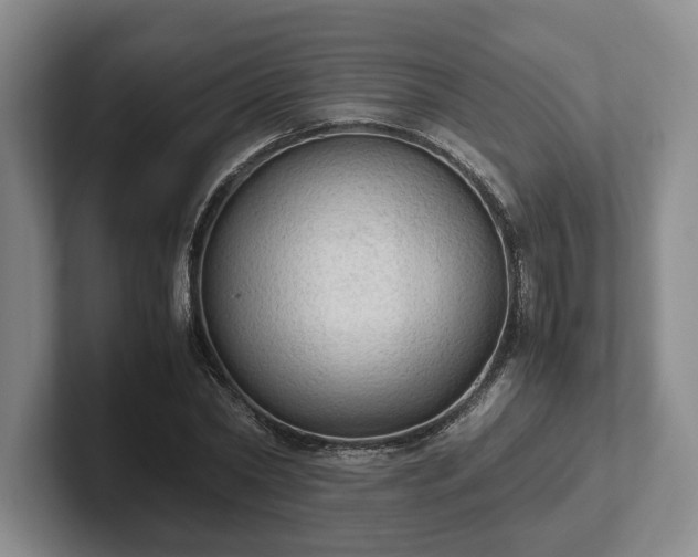 X0000102390782200808081226