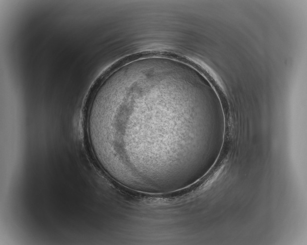 X0000102390783200808081226